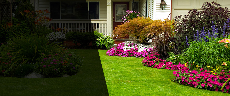 Edinburg Landscapers